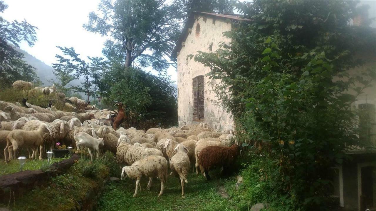 B&B L'Abric - Centro Storico Di Limonetto Limone Piemonte Eksteriør billede